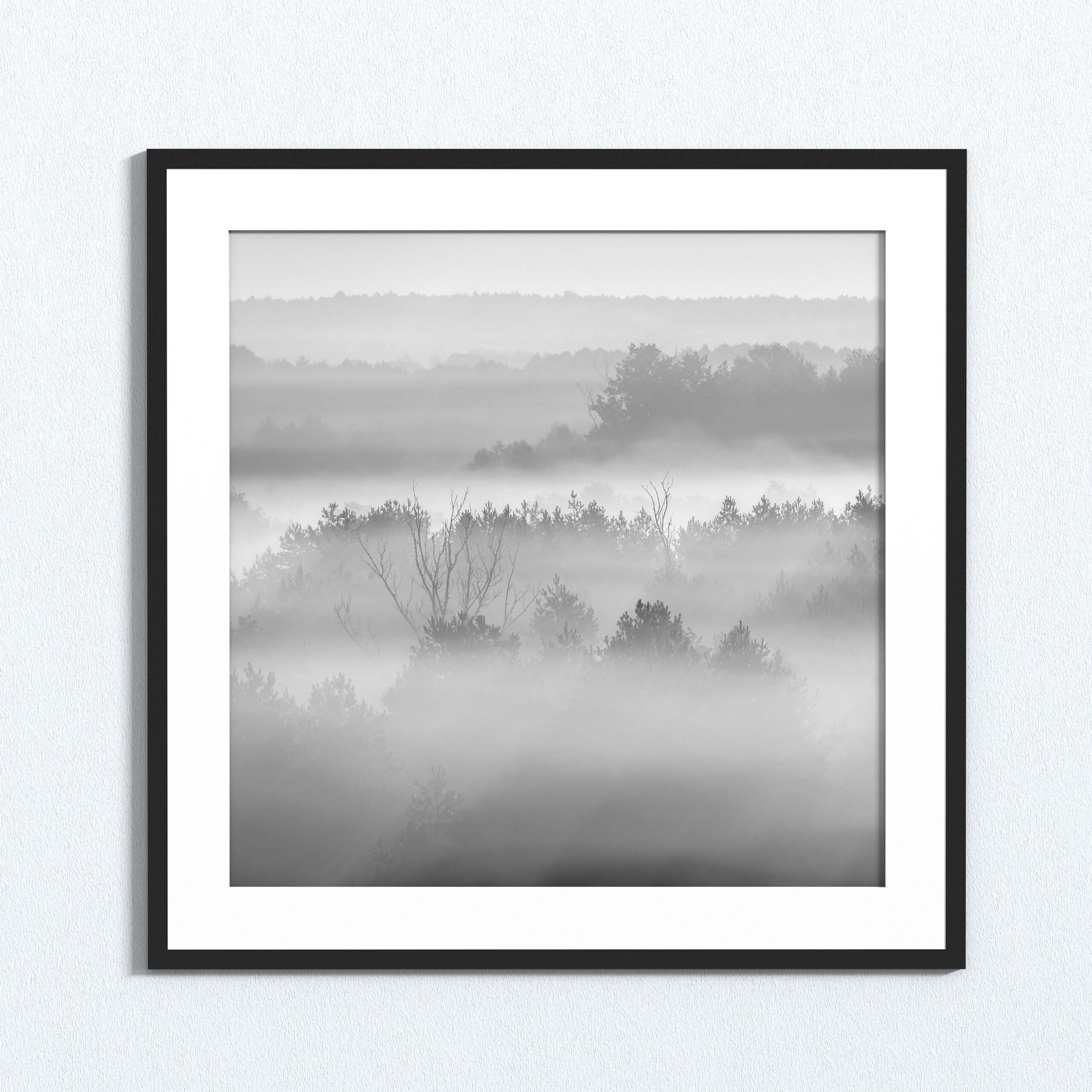 Przebudzenie natury - obrazek 2